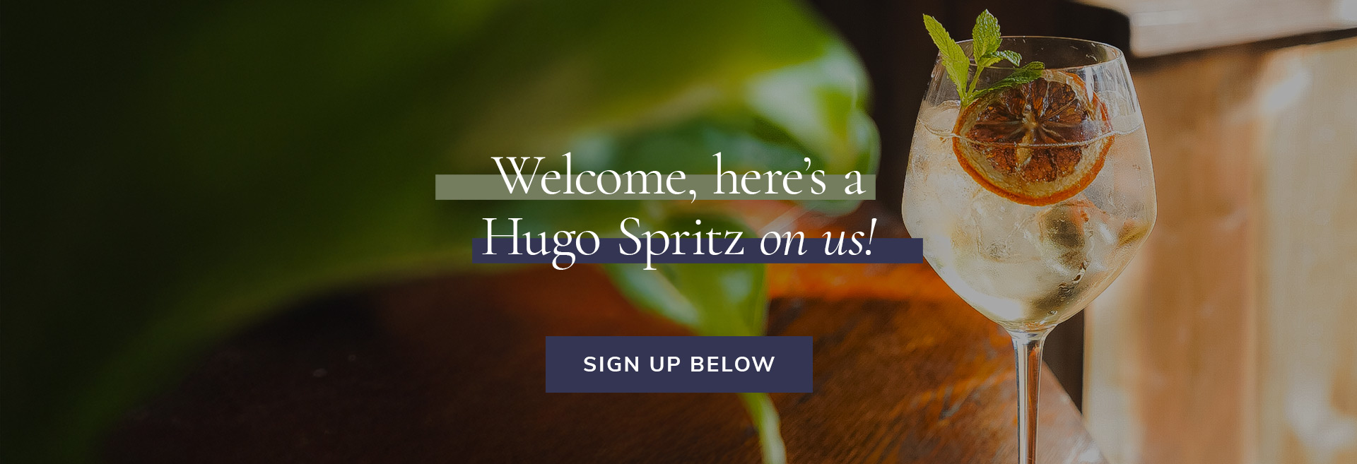 Sign up to the newsletter at The Jolly Gardeners